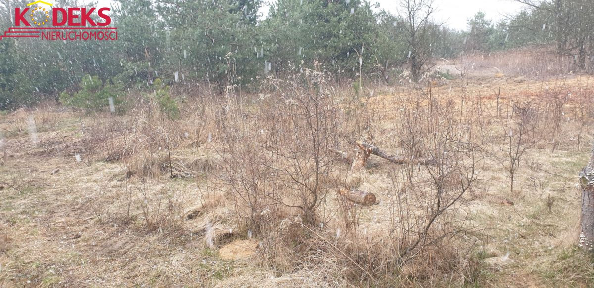 Grunt na sprzedaż, Skierdy, 3225.00 m² - Widok 5