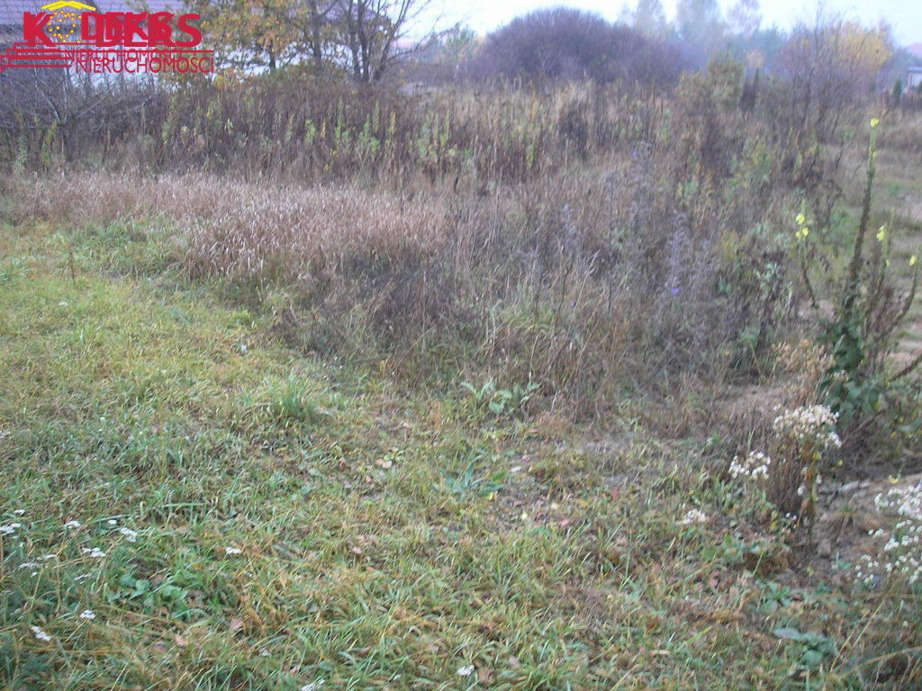 Grunt na sprzedaż, Skierdy, 3225.00 m² - Więcej