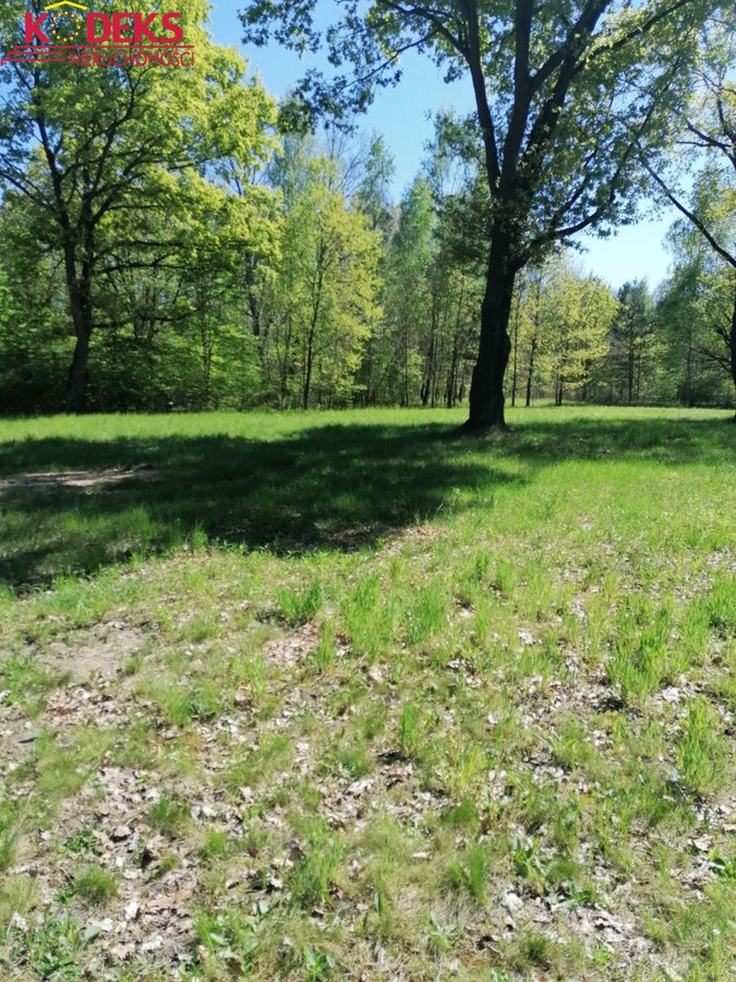 Grunt na sprzedaż, Jabłonna, 1951.00 m² - Widok 2