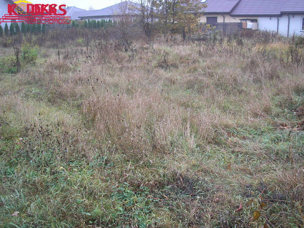 Grunt na sprzedaż, Skierdy, 3225.00 m² - Widok 3