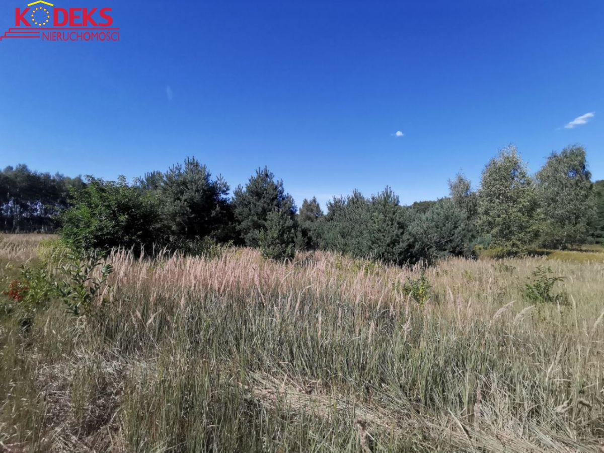 Grunt na sprzedaż, Nowa Wieś, 5000.00 m² - Widok 2