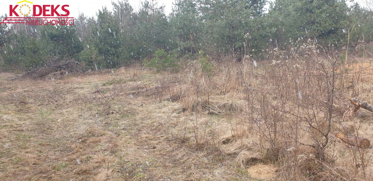 Grunt na sprzedaż, Skierdy, 3225.00 m² - Widok 4