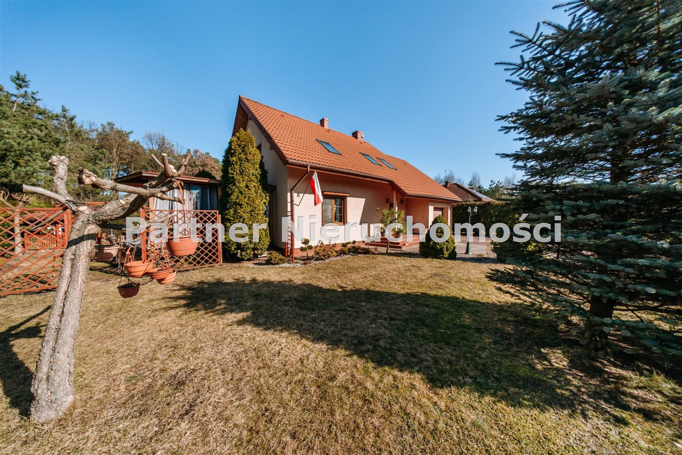 House in Krobia - Widok 5