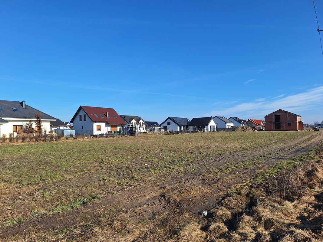 Dwie działki ul. Klonowa na sprzedaż - Widok 2