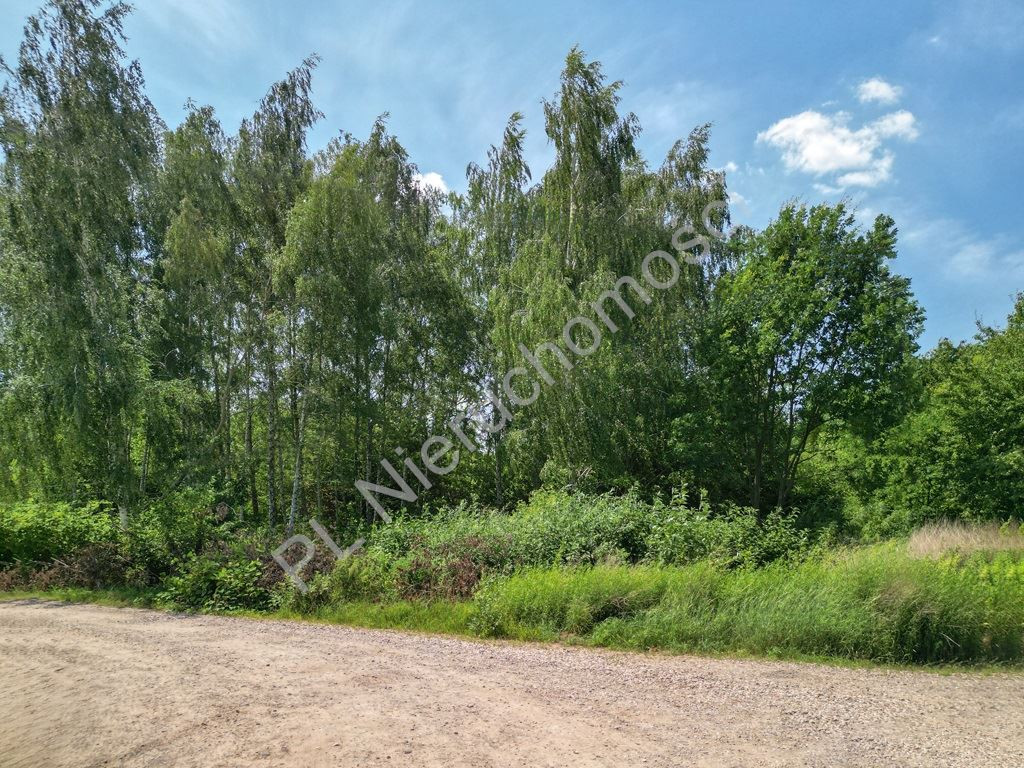 gratka-G-87444-4 - Widok 2