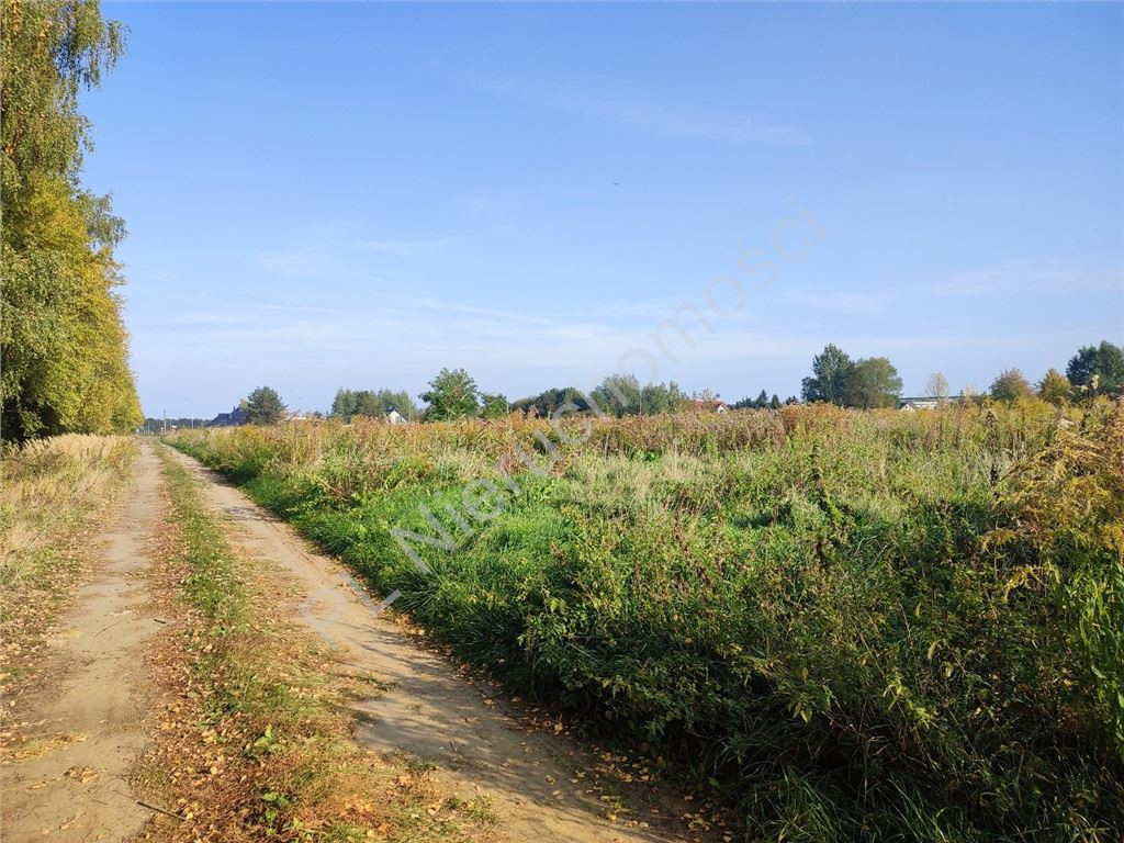 gratka-G-87602-4 - Widok 3
