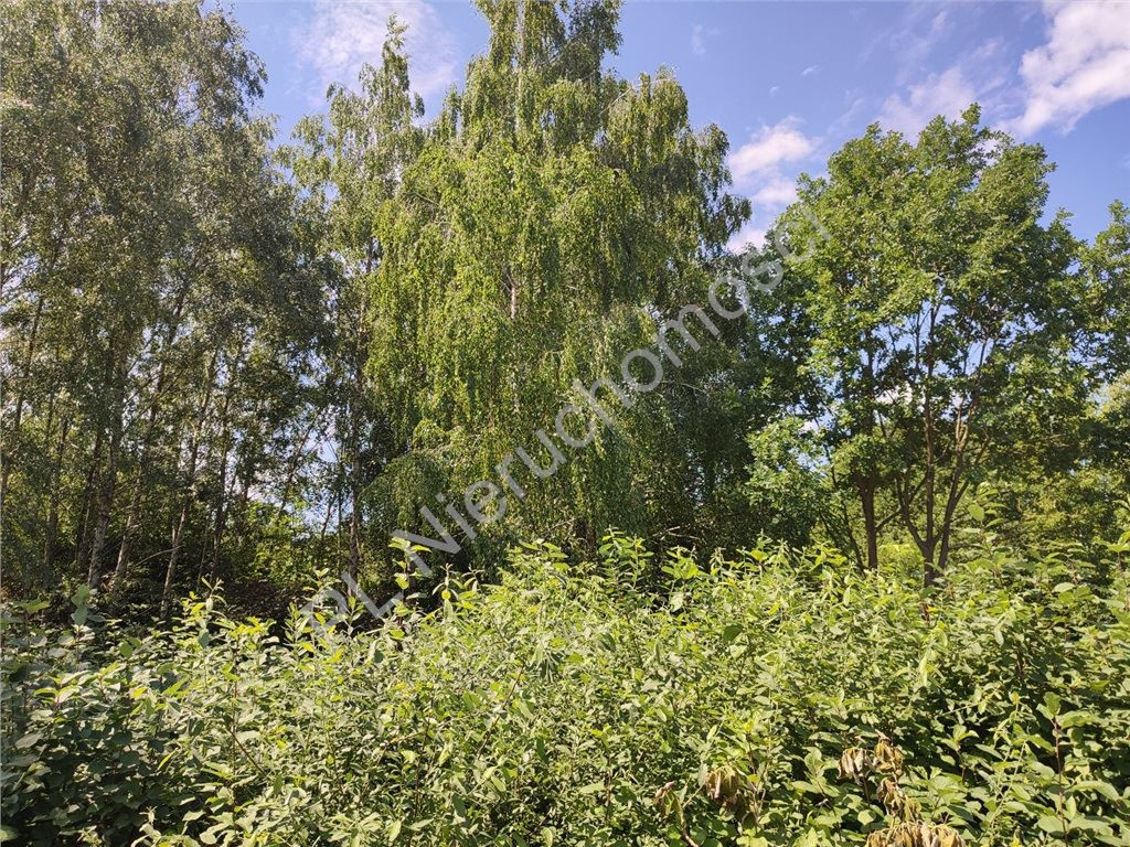 gratka-G-87444-4 - Widok 4