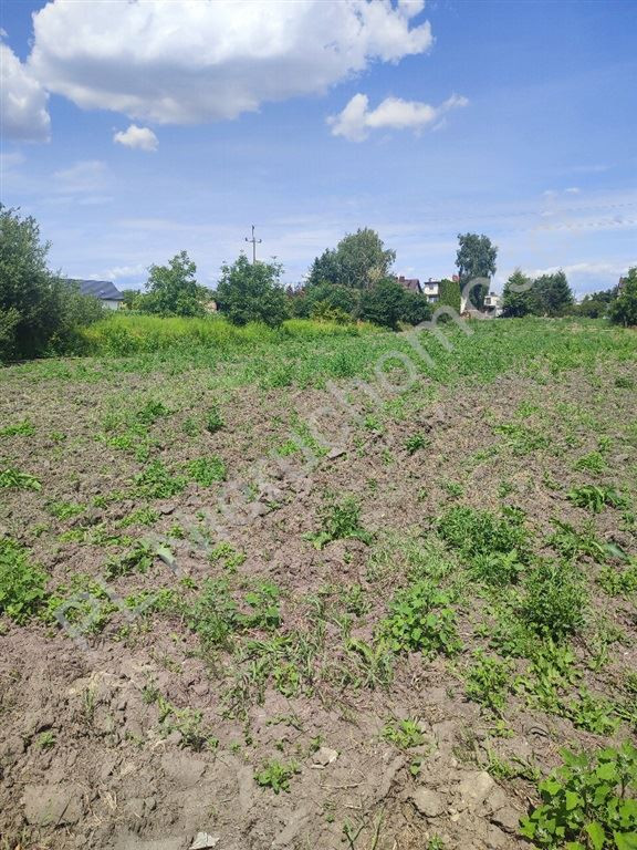 gratka-G-87254-4 - Widok 4