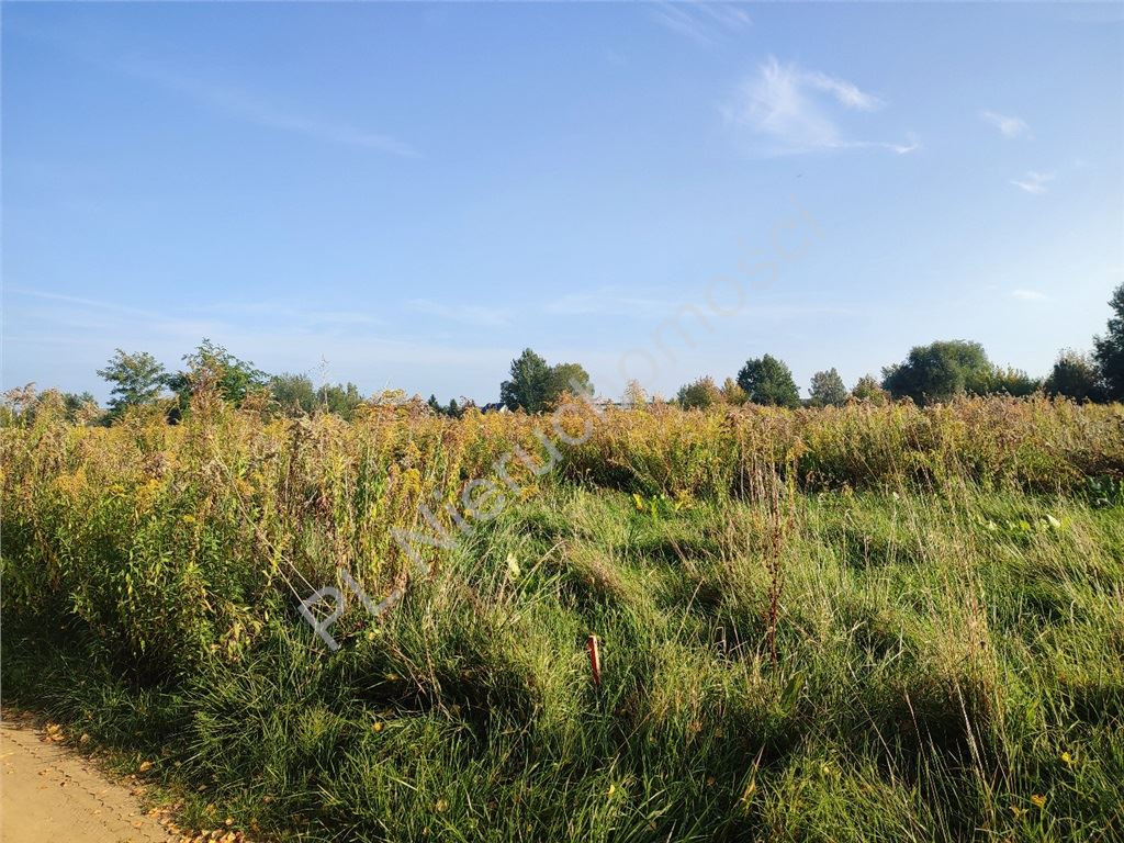 gratka-G-87602-4 - Widok 4