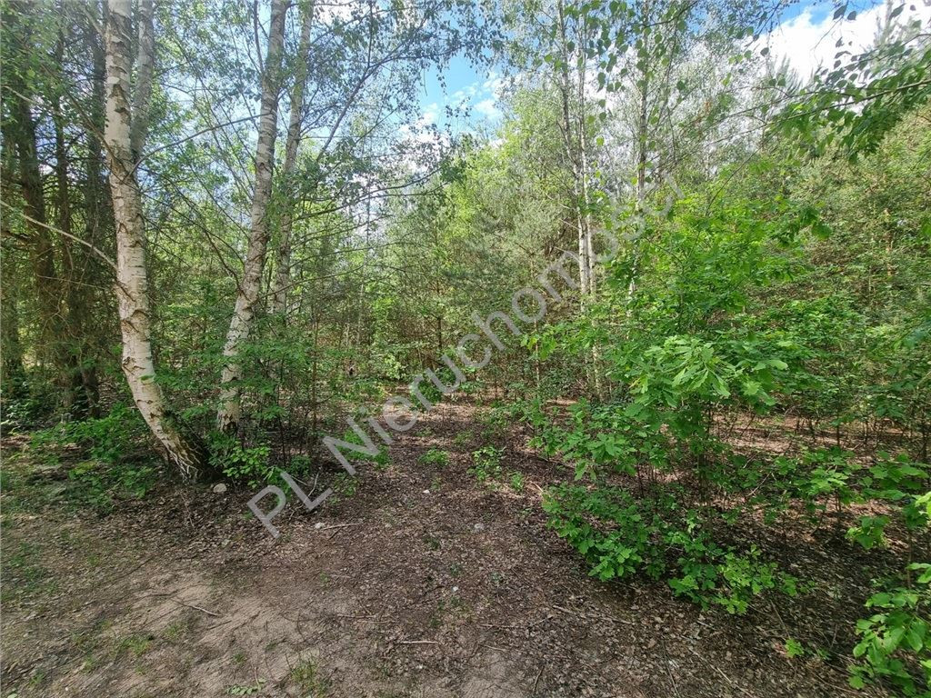 gratka-G-87403-4 - Widok 2