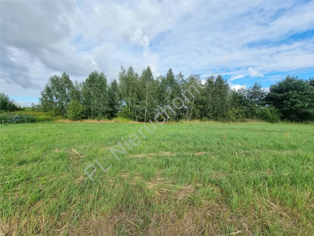 gratka-G-87369-4 - Widok 3