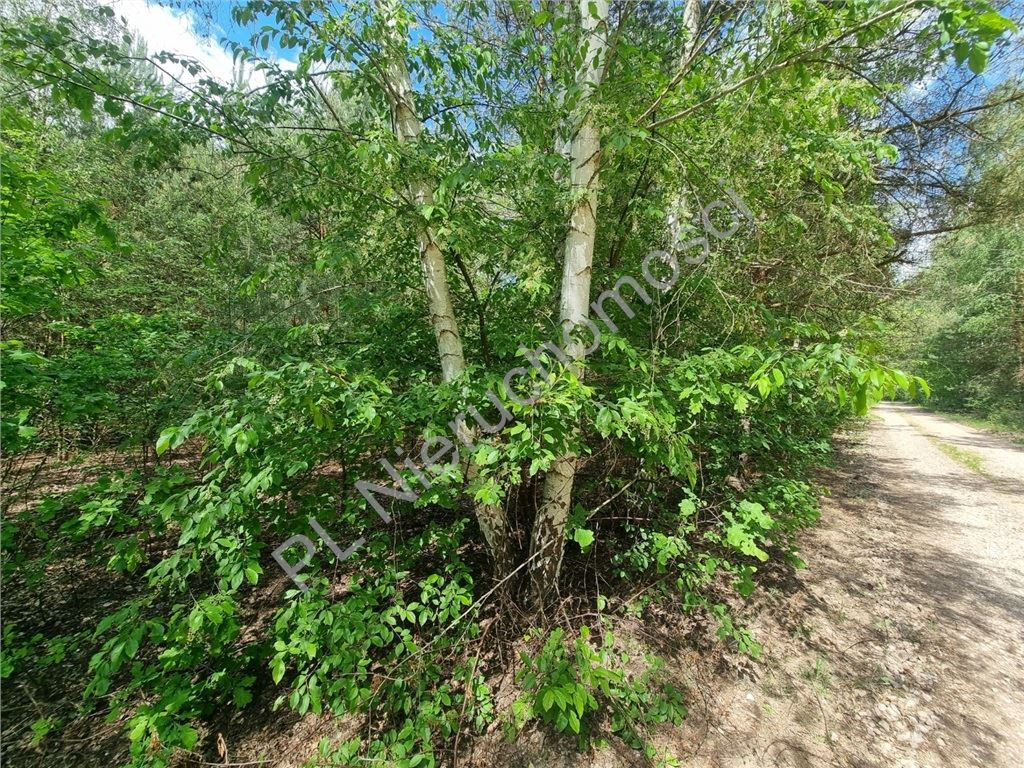 gratka-G-87403-4 - Widok 3