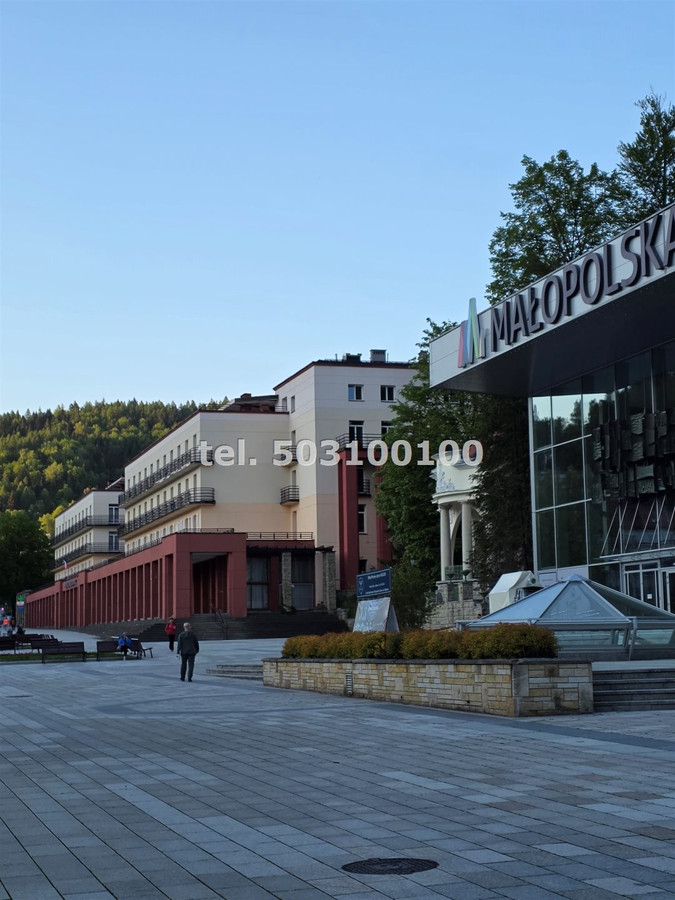 Sprzedam Krynica-Zdój część uzdrowiskowa - Widok 2