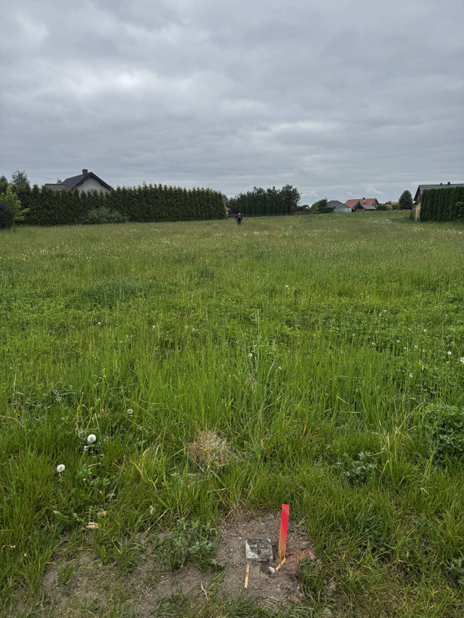 gratka-38513 - Widok 5