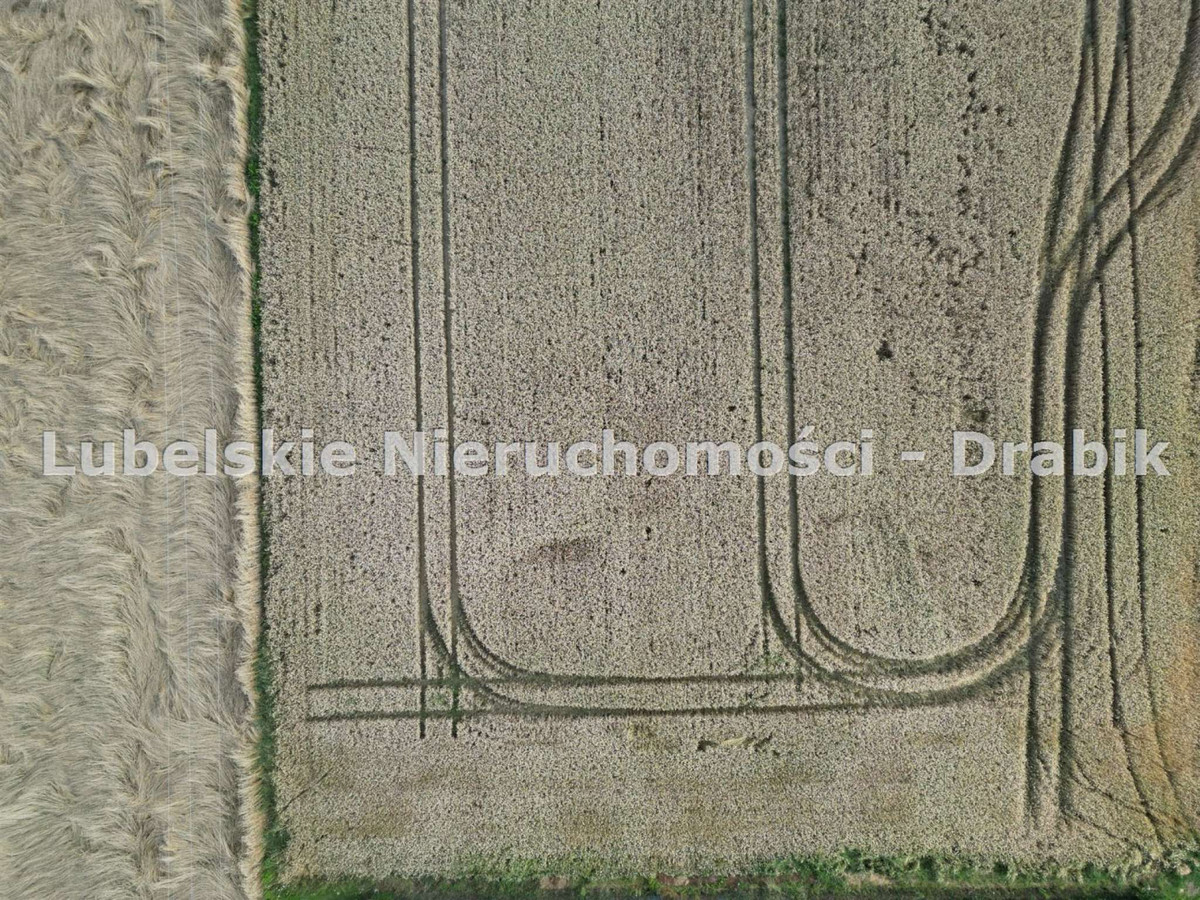 Działka budowlana 1800 m² gm. Jastków - Widok 2