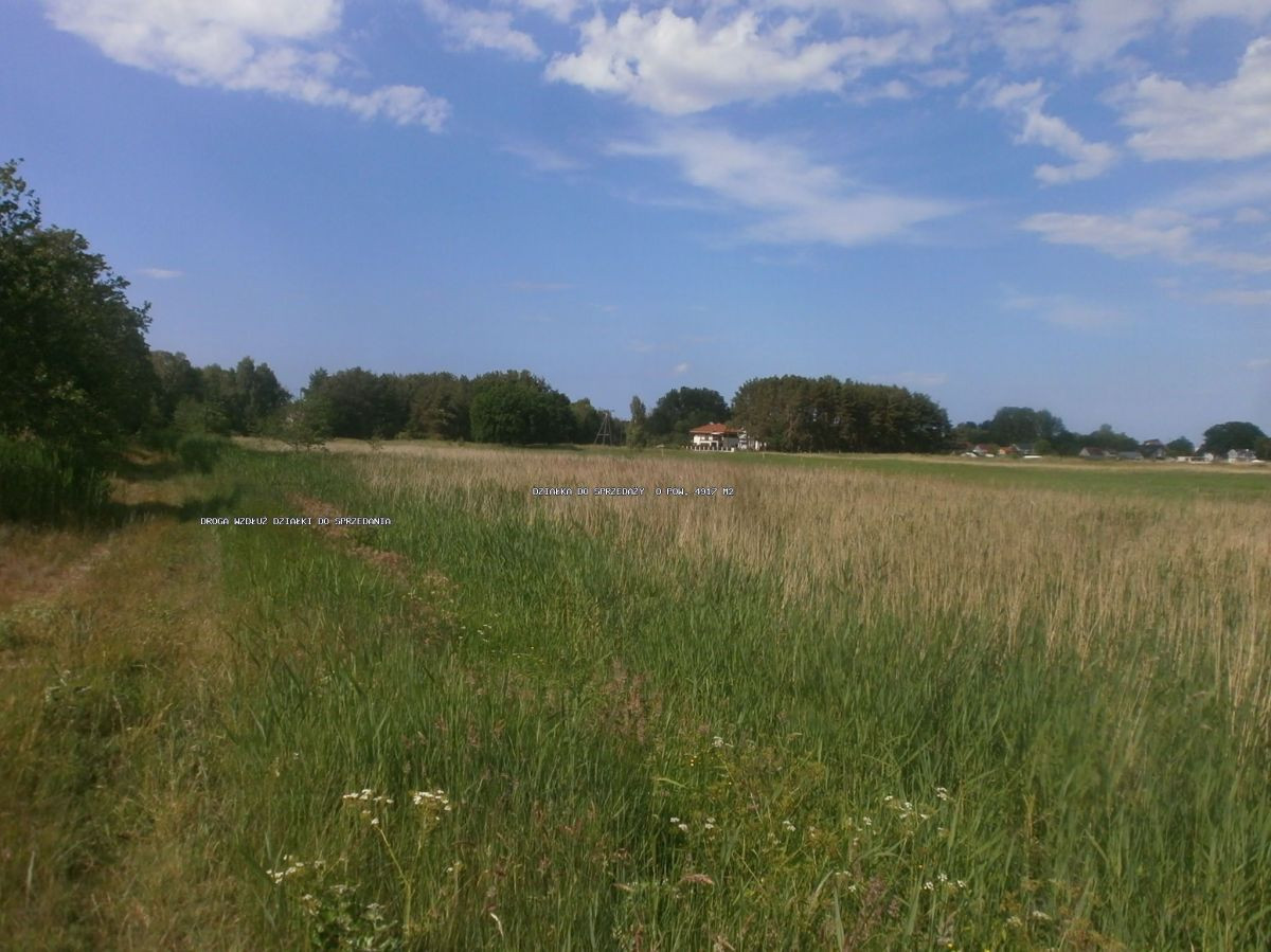 Przytór z linią brzegową - Widok 3