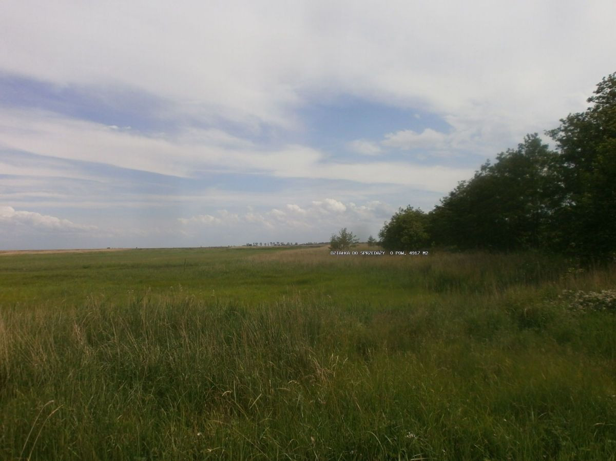 Przytór z linią brzegową - Widok 5