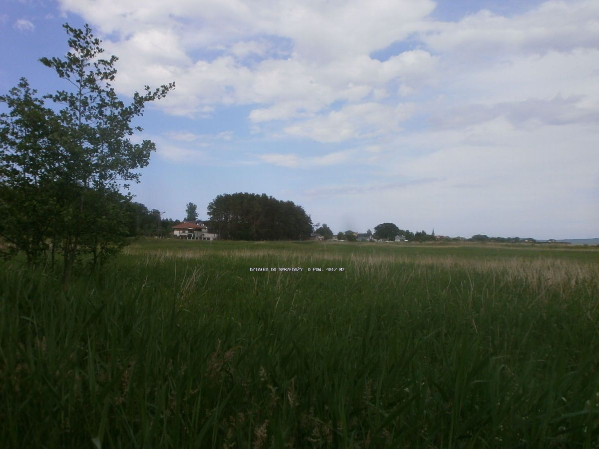 Przytór z linią brzegową - Widok 4