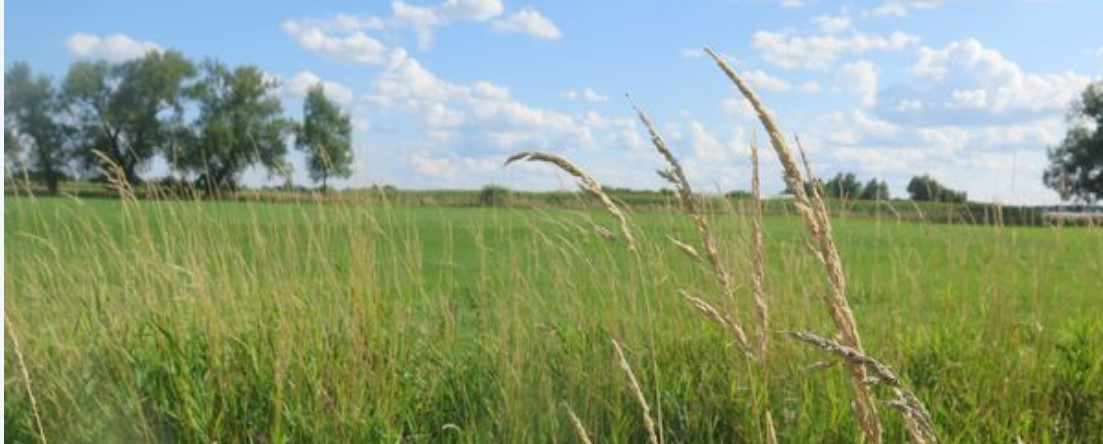 Nieruchomość gruntowa w miejscowości Bąków gm. Rusinów - Widok 2