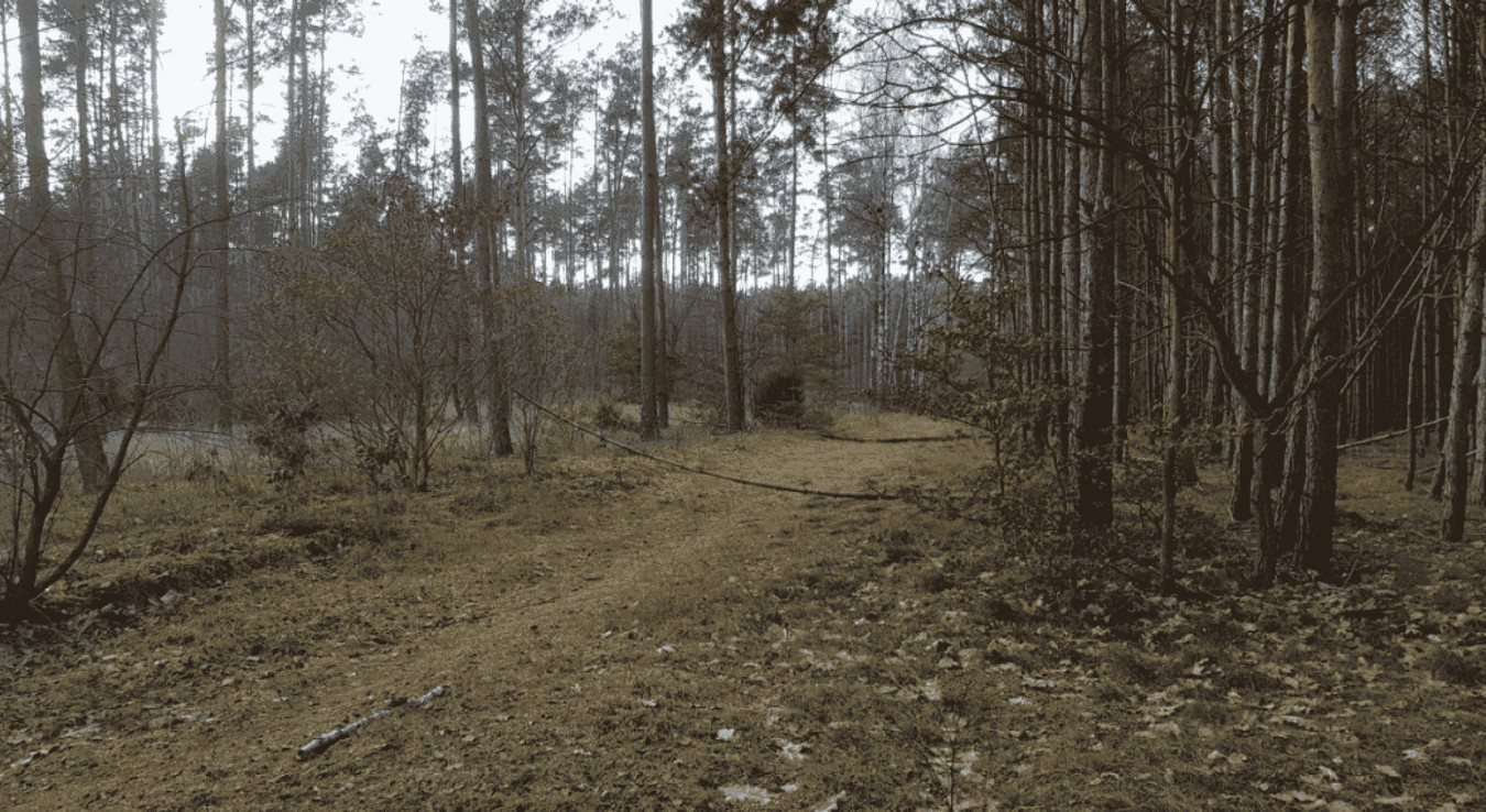 Działka – 89-526 Lubiewo - Widok 2
