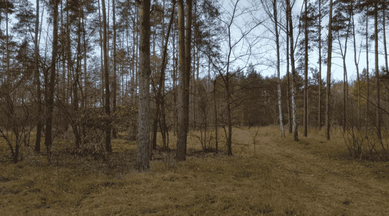 Działka – 89-526 Lubiewo - Widok 3