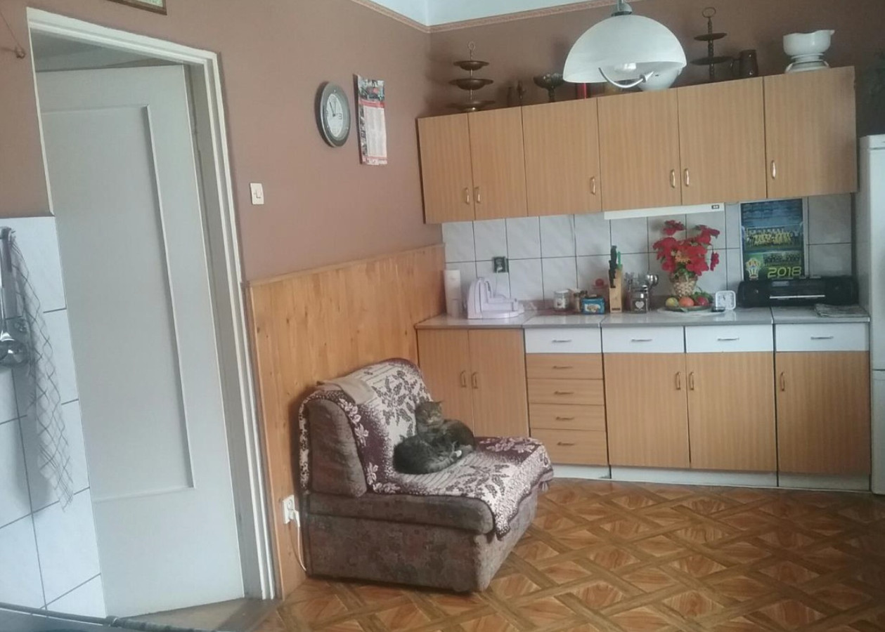 Działka częściowo zabudowana budynkiem mieszkalnym: Inwałd - Widok 3
