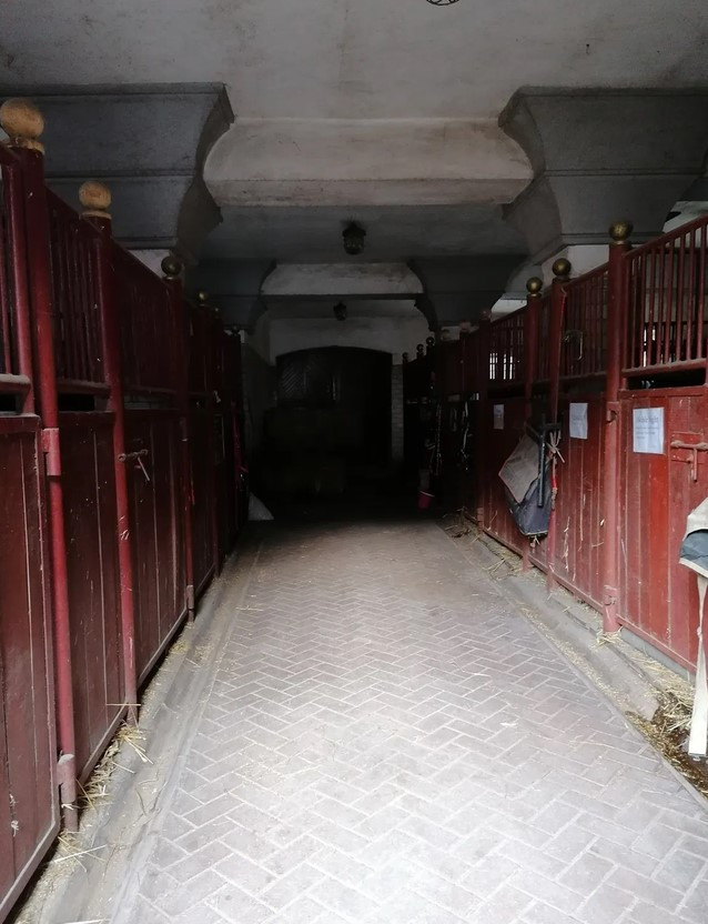 Stajnia, ujeżdzalnia, padok i budynek hostelu LICYTACJA - Widok 5