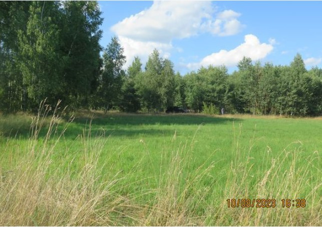 Nieruchomość gruntowa w miejscowości Bąków gm. Rusinów - Widok 3