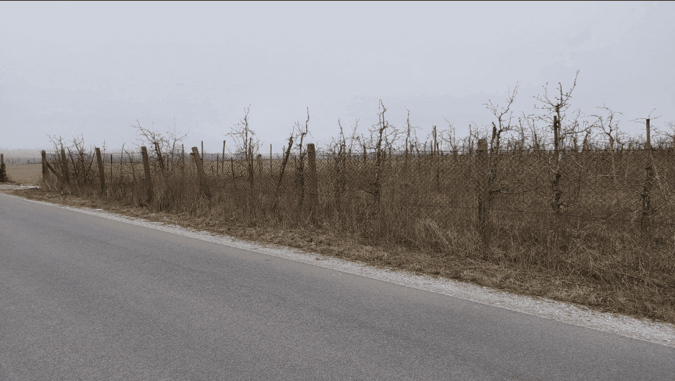Rucewko, działka – sad owocowy 5,01 ha - Widok 2