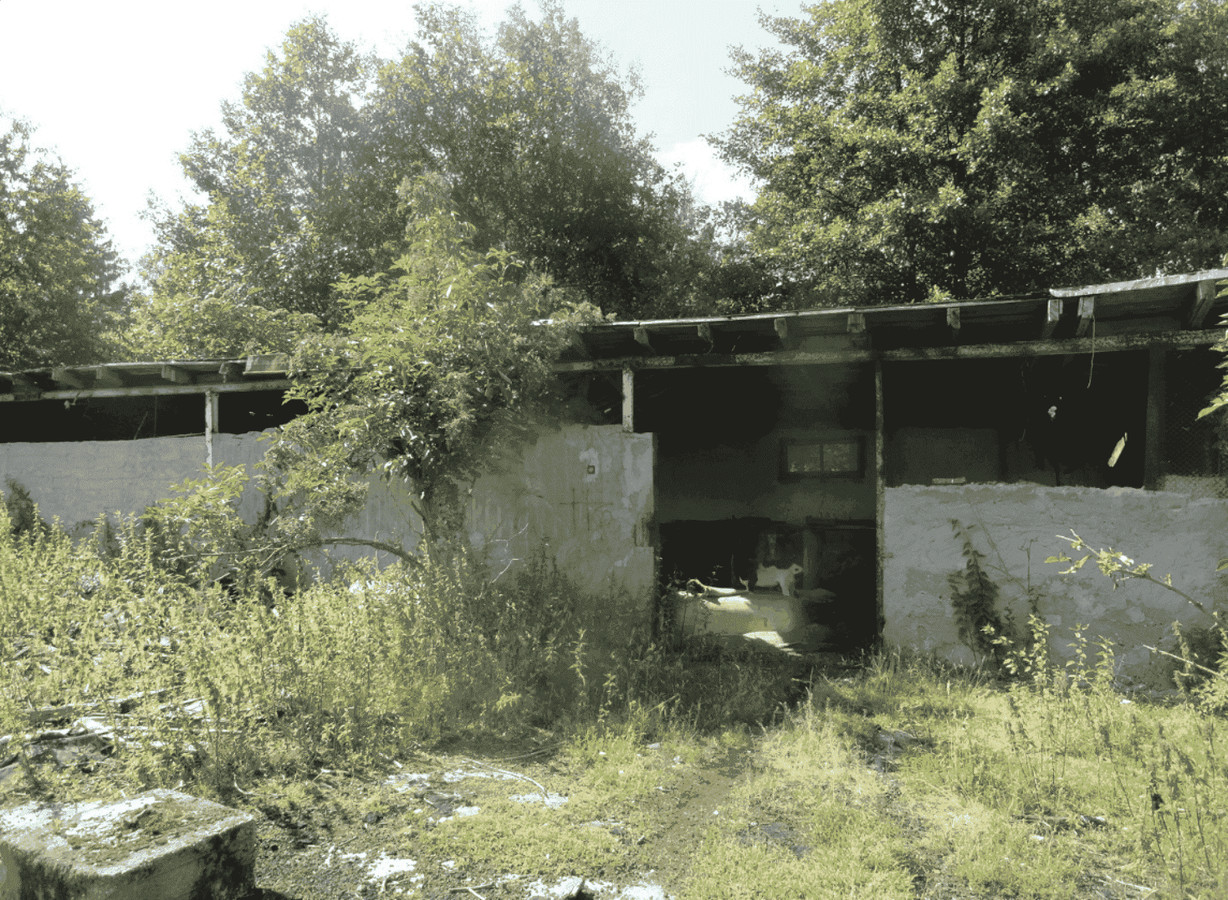 Działka z budynkami gospodarczymi - Iwiny - Więcej