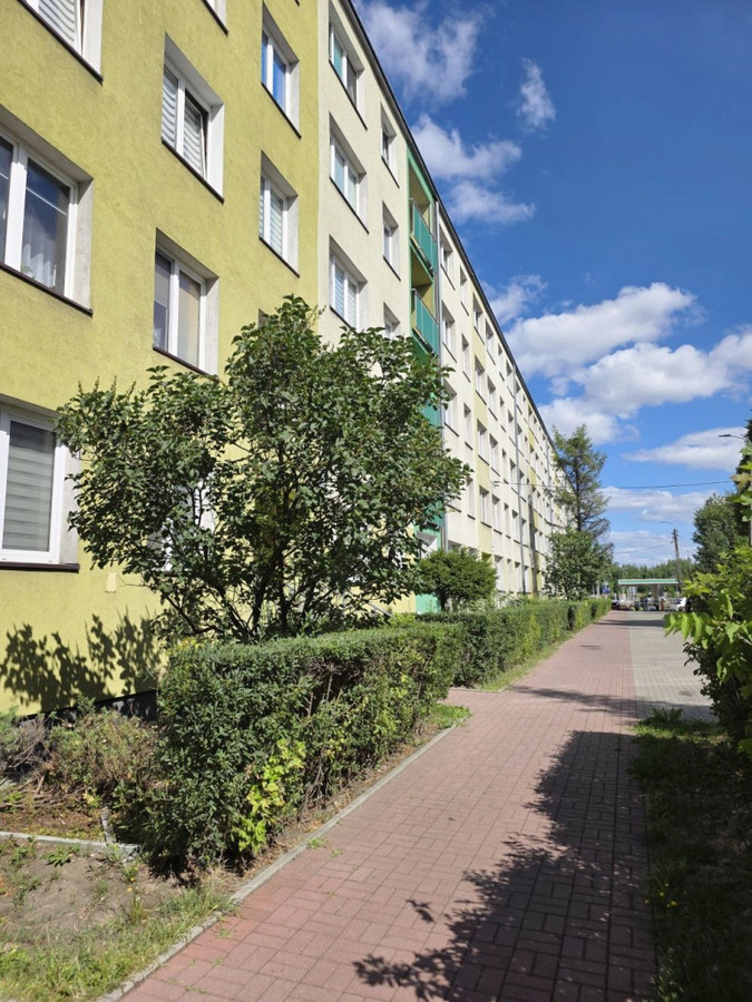 Apartment in Bytom, Kleinfeld, Śródmieście - View 2