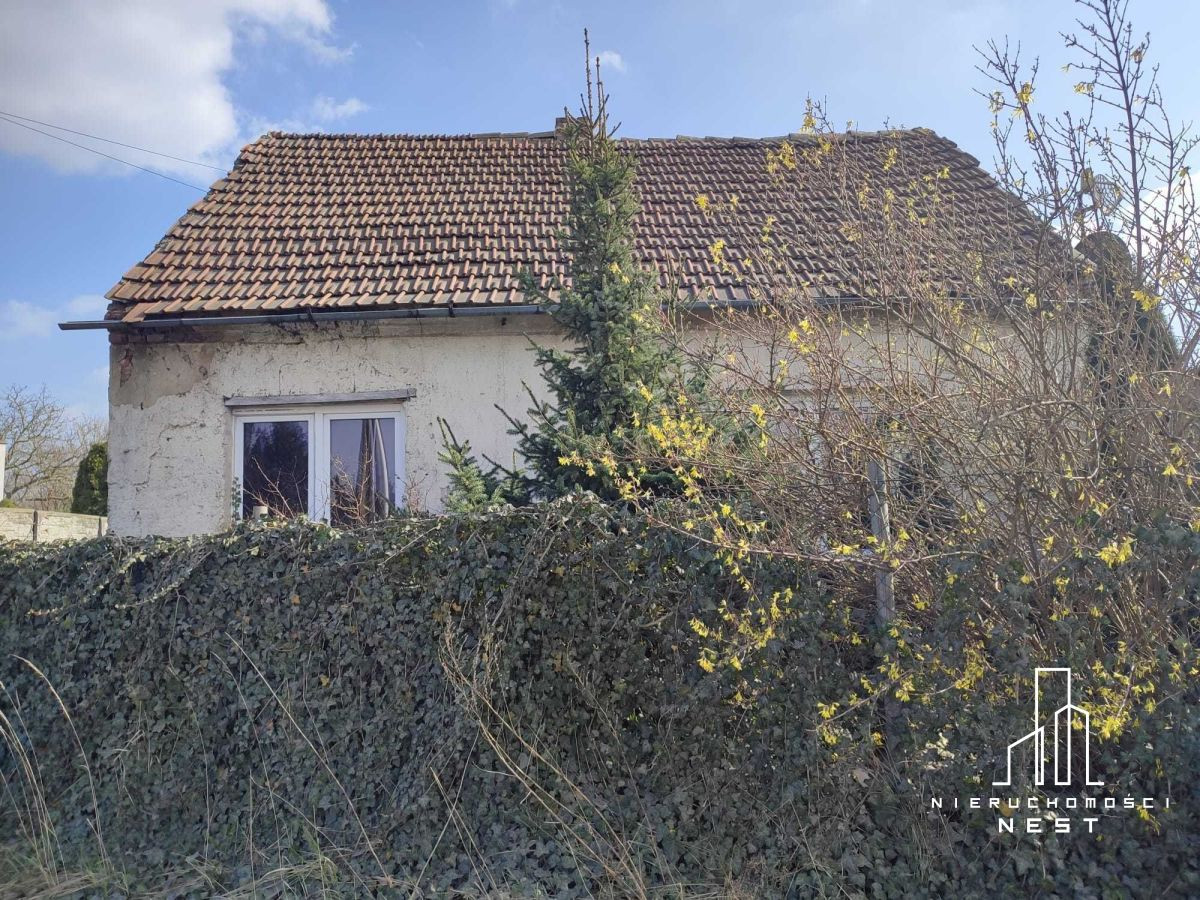 Działka z budynkiem wolnostojący w Szczytnikach - Widok 4