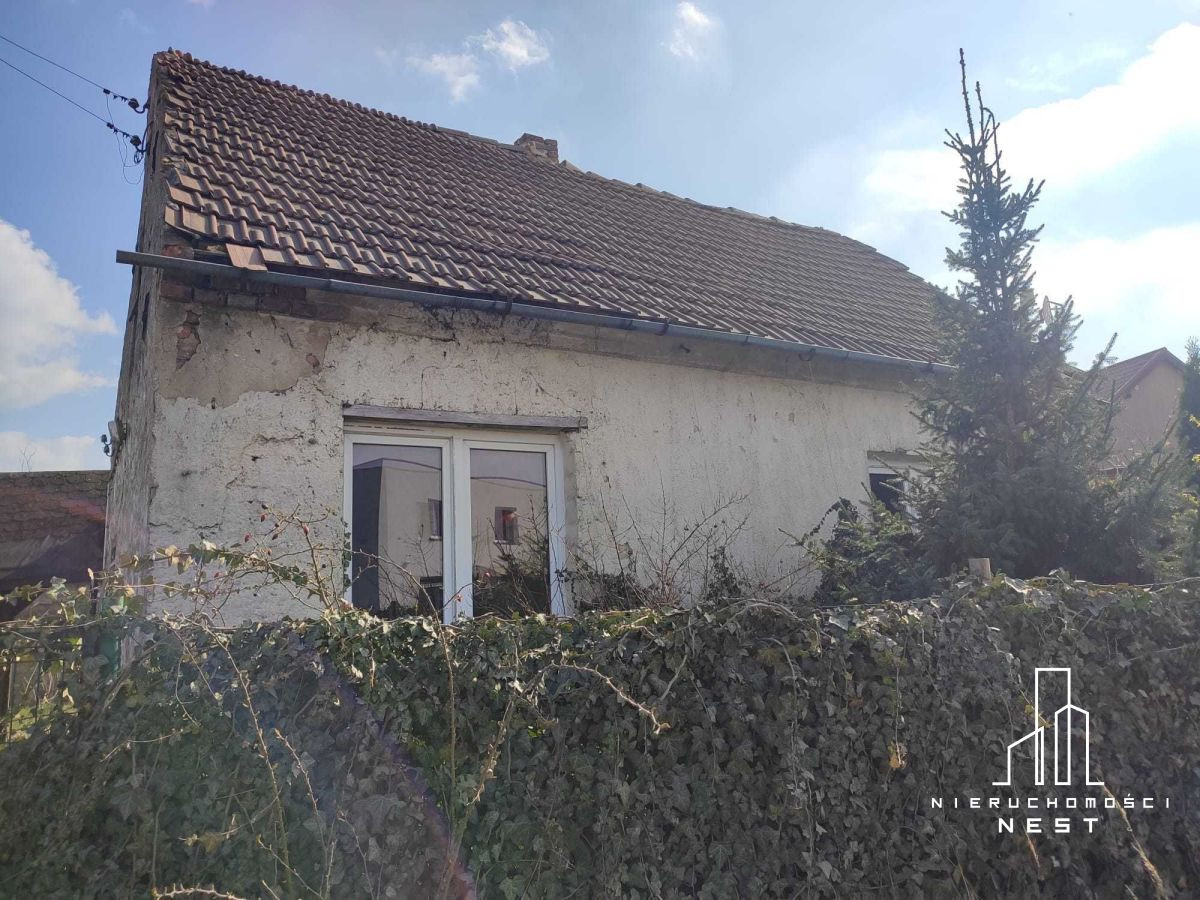 Działka z budynkiem wolnostojący w Szczytnikach - Widok 5