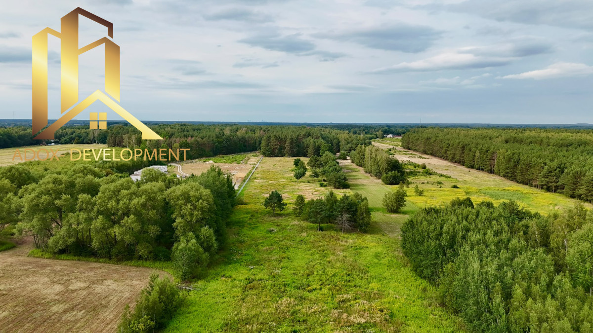 Atrakcyjne działki 3000 m² – Adamów Drwalewski - Widok 2