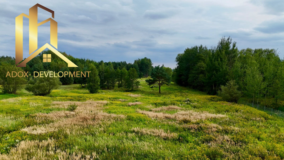 Atrakcyjne działki 3000 m² – Adamów Drwalewski - Widok 4