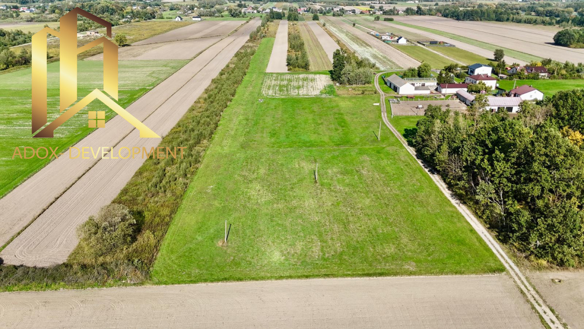 1,98 ha gruntów rolnych w Woli Prażmowskiej - Widok 3