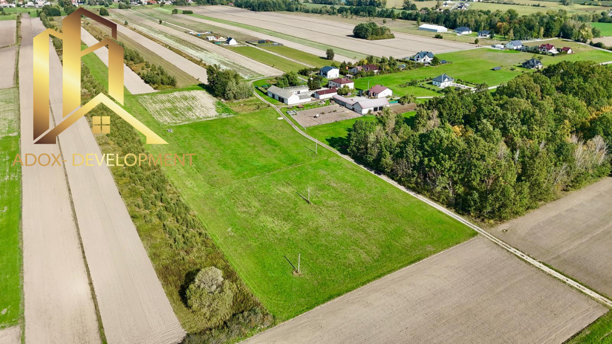 1,98 ha gruntów rolnych w Woli Prażmowskiej - Widok 5