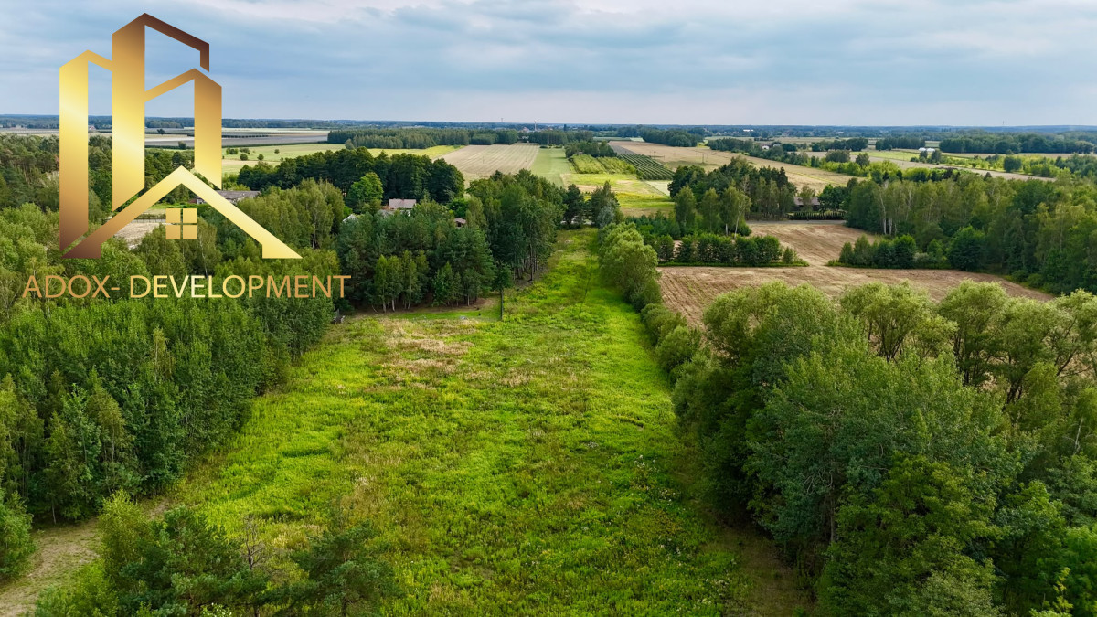 Atrakcyjne działki 3000 m² – Adamów Drwalewski - Widok 5