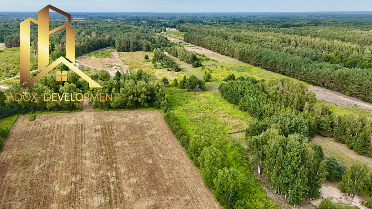 Atrakcyjne działki 3000 m² – Adamów Drwalewski - Widok 3