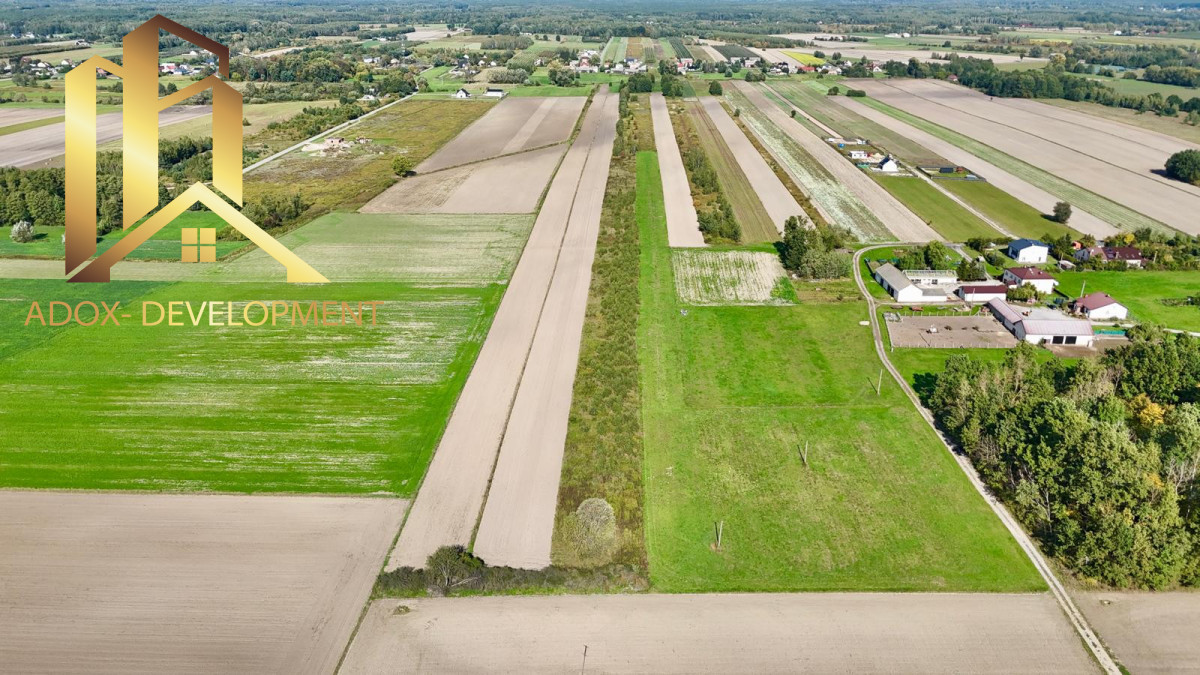 1,98 ha gruntów rolnych w Woli Prażmowskiej - Widok 4