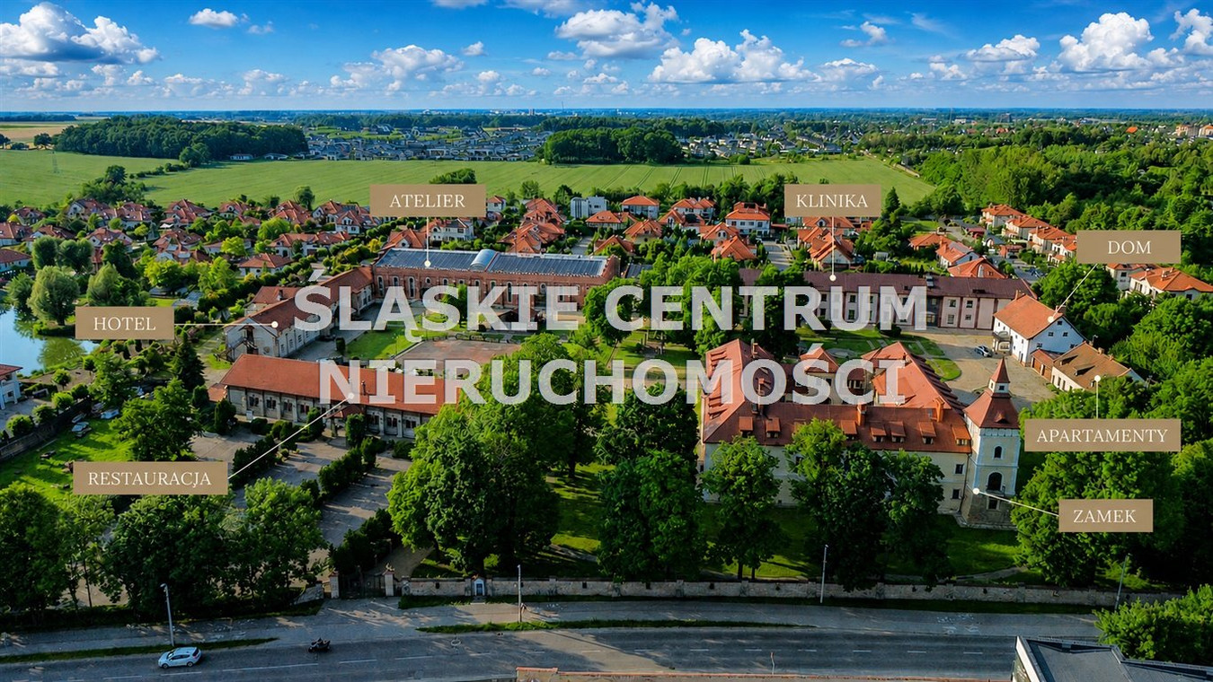Hotel przy Zamku Tarnowice Stare Pyskowicka 39 - Widok 3