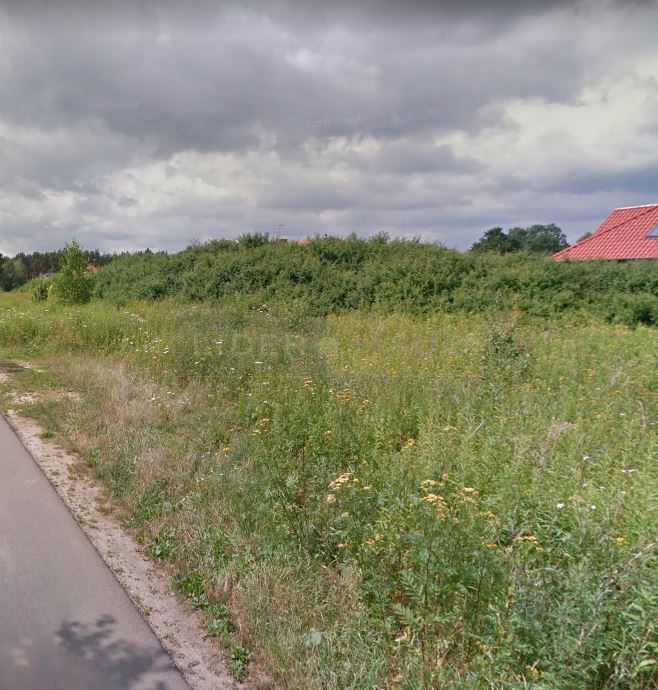 Otulina puszczy, blisko przystanek - Widok 5