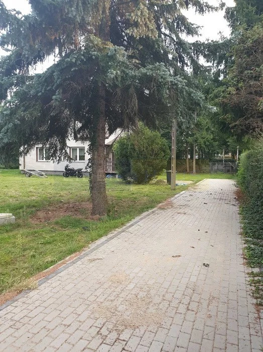 Warszawska, nieruchomość z potencjałem,produkcja - Widok 4