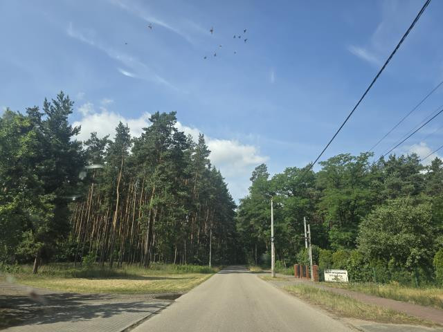 Działki z MPZP w pobliżu lasu i zabudowy - Widok 5