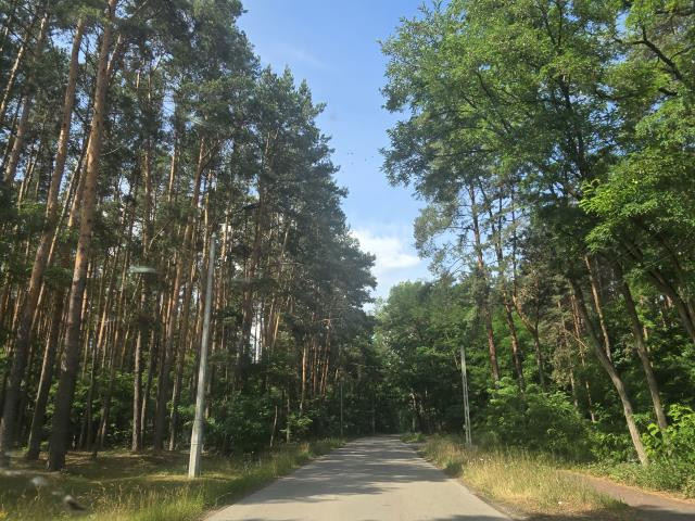 Działki z MPZP w pobliżu lasu i zabudowy - Więcej