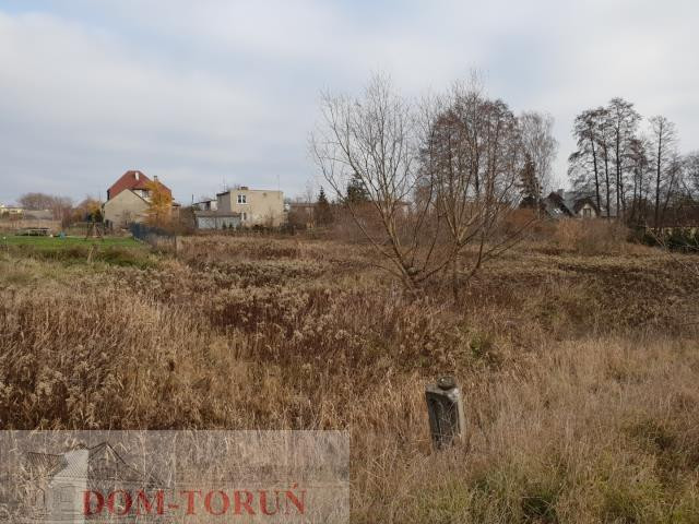 gratka-2604 - Widok 5