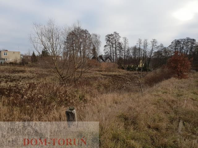 gratka-2604 - Widok 4