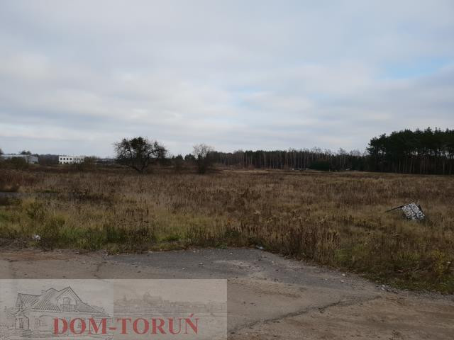 gratka-2604 - Widok 2