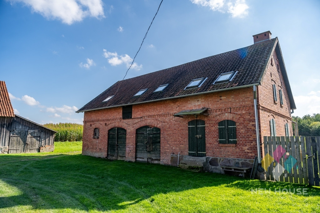 Niepowtarzalne siedlisko na półwyspie jez. Gawlik - Więcej
