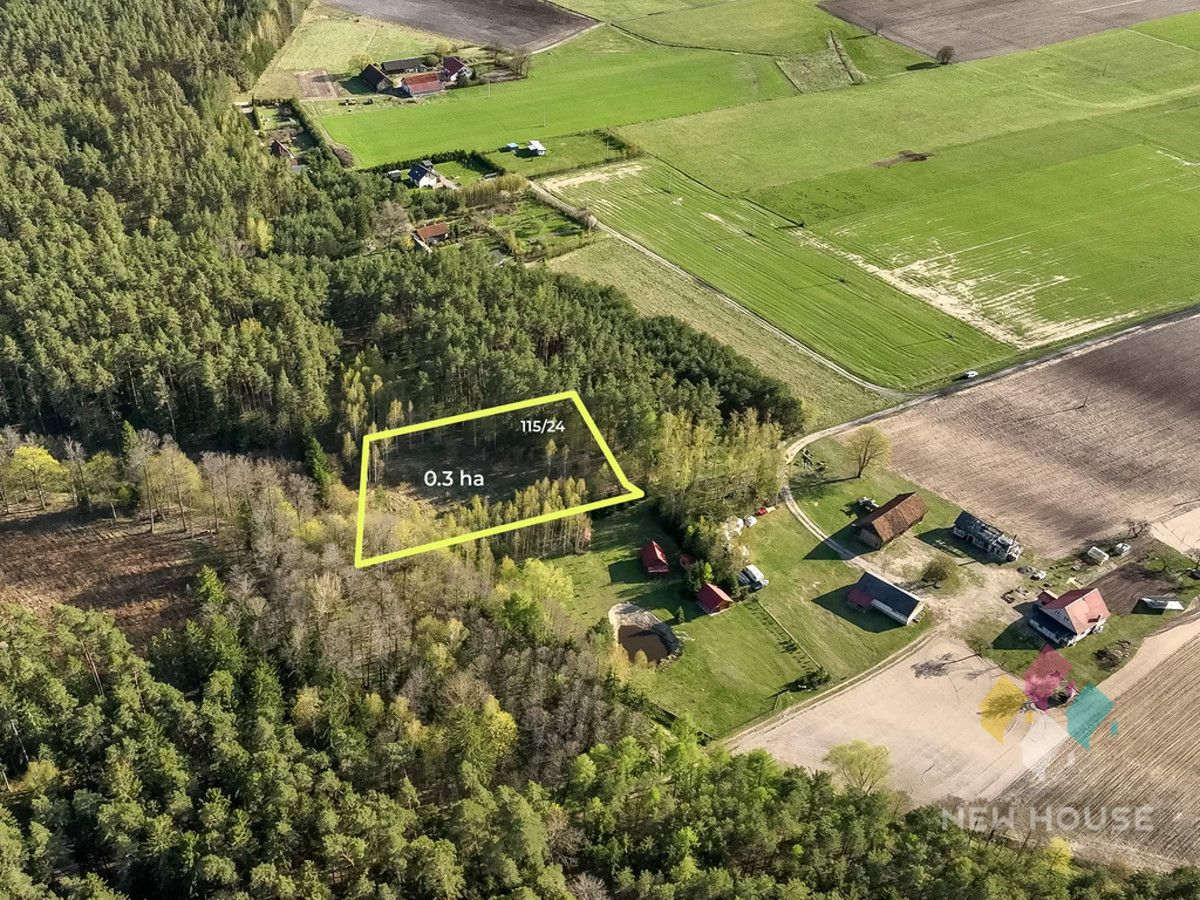 Teren, 3000 m²